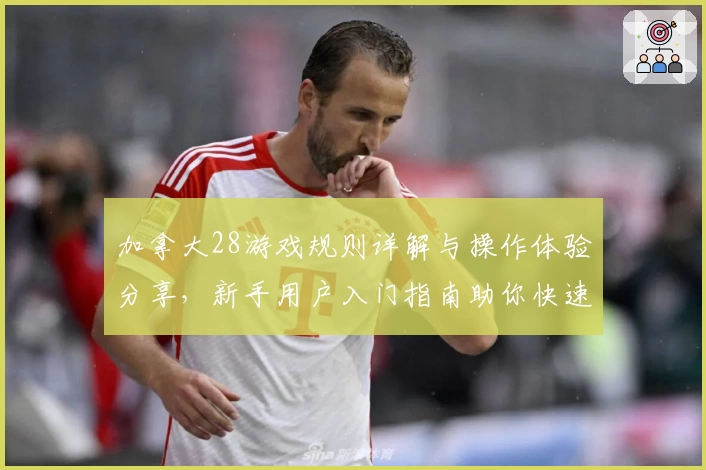 加拿大28游戏规则详解与操作体验分享，新手用户入门指南助你快速上手