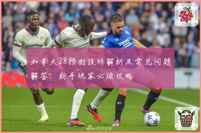 加拿大28预测技巧解析及常见问题解答：新手玩家必读攻略