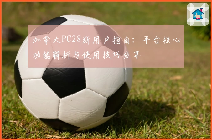 加拿大PC28新用户指南:平台核心功能解析与使用技巧分享