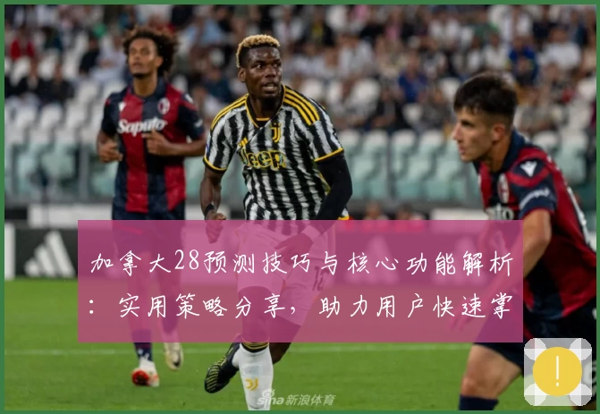加拿大28预测技巧与核心功能解析：实用策略分享，助力用户快速掌握操作诀窍