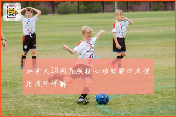 加拿大28网页版核心功能解析及使用技巧详解