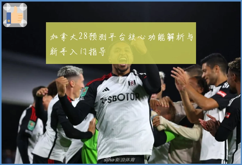 加拿大28预测平台核心功能解析与新手入门指导