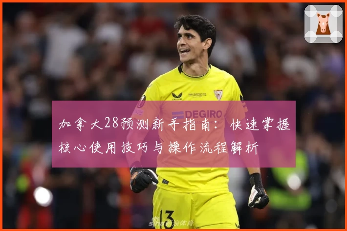 加拿大28预测新手指南：快速掌握核心使用技巧与操作流程解析