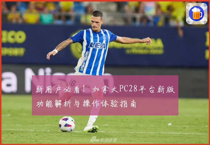 新用户必看!加拿大PC28平台新版功能解析与操作体验指南