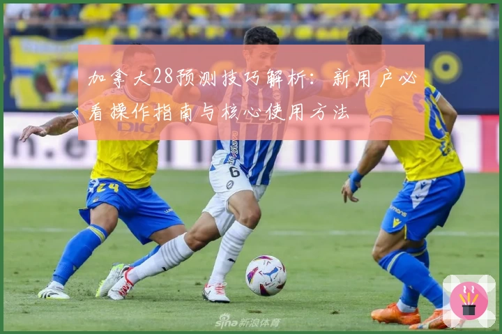 加拿大28预测技巧解析：新用户必看操作指南与核心使用方法