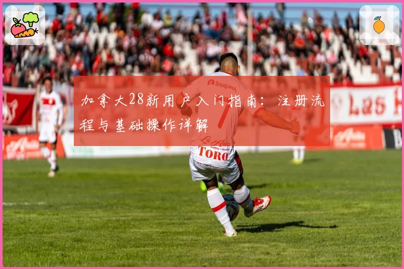 加拿大28新用户入门指南：注册流程与基础操作详解